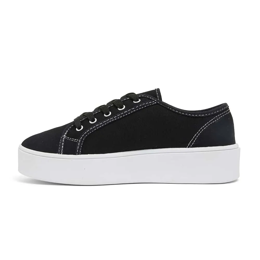 Adam Sneaker in Black Canvas